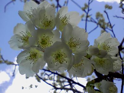 0221�~�H���H �P